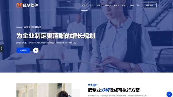 商业分析公司网站模板